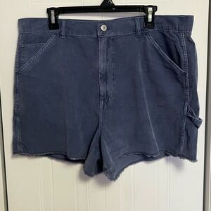 NWOT American Eagle Outfitters Blue Women's Shorts